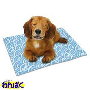 yN[|Lz }J A~WF}bgL p Lp ybgp p t[hTvL ALE