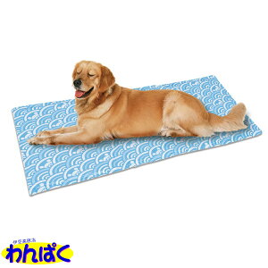 yN[|Lz }J A~WF}bg3L p Lp ybgp p t[hTvL AS80