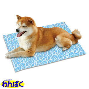 yN[|Lz }J A~WF}bg2L p Lp ybgp p t[hTvL AS60