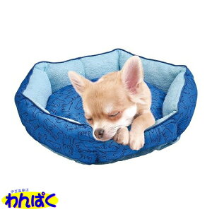 yN[|Lz }J N}̐ڐG⊴xbhS u[  Ђ ӂӂ ӂӂ _炩  ybgNbV 傫  L Lp p xbh \t@[ ybg