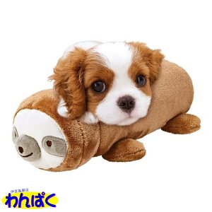 yN[|Lz }J {gۃJo[ i}Pm AS܂ ӂӂ  h ΍ p Lp p t[hTvL AS60