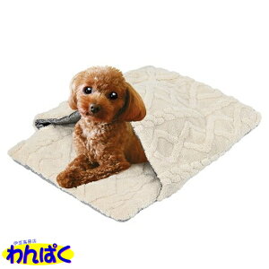 yN[|Lz }J gQ܃xbhXNGA ӂӂ ʂʂ  h ΍ p Lp p t[hTvL AS60