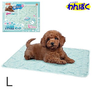 yN[|Lz }J 炩⊴}bg IׂTCY tăxbhE}bg  Ђ Lp p xbh ybgp p t[hTvL AS60