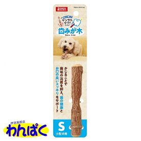 【月間優良ショップ8回受賞】【クーポン有】 マルカン 歯みが木S 小型犬用 おもちゃ 他お試しフードサンプル有 AME