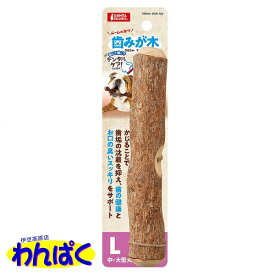 【月間優良ショップ8回受賞】【クーポン有】 マルカン 歯みが木L 中・大型犬用 おもちゃ 他お試しフードサンプル有ALE