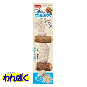 yN[|Lz }J ݂؃vXRbg[vS  t[hTvL ALE