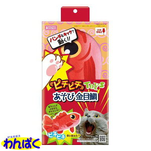 yN[|Lz }J s`s`TOYS ڑ ˂   ܂ѕt Lp ybgp d USB XgX ^s t[hTvL ALE