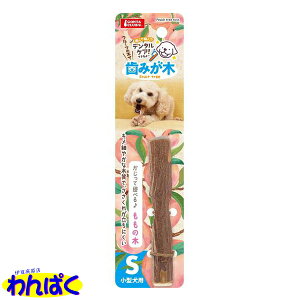 yN[|Lz }J ݂؂̖S ^p   f^PA t[hTvL AME