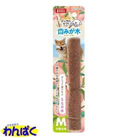 【月間優良ショップ8回受賞】【クーポン有】 マルカン 歯みが木ももの木M 中型犬用 おもちゃ 歯磨き デンタルケア 他お試しフードサンプル有 AM0