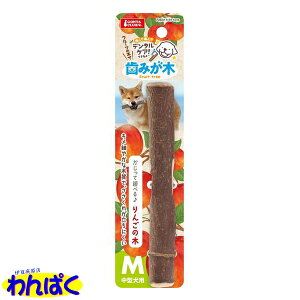 yN[|Lz }J ݂؂񂲂̖M ^p   f^PA t[hTvL AM0