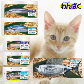 【クーポン有】 マルカン またたび水産 選べる魚 6種類 猫用 おもちゃ 猫じゃらし リアル 魚 一人遊び 運動不足解消 ストレス解消 キャットトイ ねこ 他お試しフードサンプル有 ALE