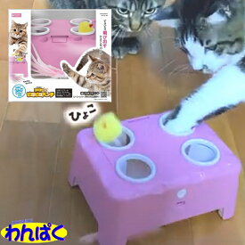 【月間優良ショップ8回受賞】【クーポン有】 マルカン ゴーゴーピヨピヨパンチ 猫用 ペット用 動く おもちゃ USB 電動 一人遊び ストレス解消 運動不足解消 他お試しフードサンプル有 AS60