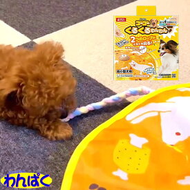 【月間優良ショップ8回受賞】【クーポン有】 マルカン ゴーゴーくるくるわんわん 超小型犬用 動く おもちゃ 電動 電池式 回転 くるくる ストレス解消 運動不足解消 他お試しフードサンプル有 AS60