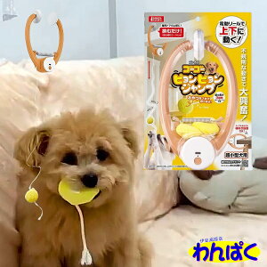 yN[|Lz }J S[S[rrWv ^p  USB[d XgX ^s t[hTvL AS60