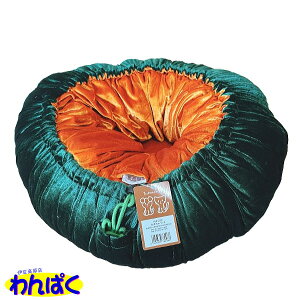 �y�艿��8,500����4,980 �N�[�|���L�z �y�b�g���C�u�����[ ���ڂ���x�b�h inunekoneru 55cm ���L�p �N�b�V���� �ӂ�ӂ� �y�b�g�p �����p ���������t�[�h�T���v���L 4904879780086 AS100