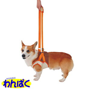 yN[|Lz Vp s⏕n[lX OpK (L) ^ Č O܂`32cm yeBIiPetioj  t[hTvL ALE