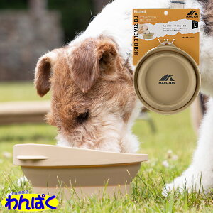 yN[|Lz b`F }[N^X |[^u fBbV L p AEghA Lv ܂肽 RpNg gx hCu sp ^ ړp   t[hT