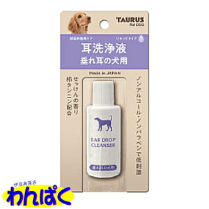 yN[|Lz g[X t ꎨ̌p Lbh^Cv C ̌N h t[hTvL ALE