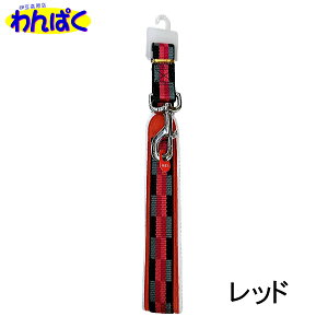 yN[|Lz 󂠂 ^[L[ R ^ [h UpR OUTL-L IׂJ[ bh u[ 30kg \tg ς t[hTvL 1000~|bL AM0