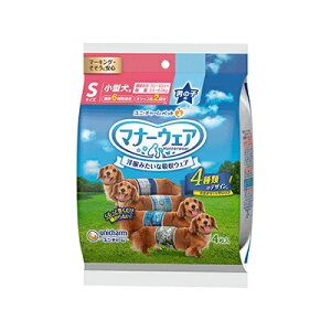 yN[|Lz j`[ }i[EFAj̎qp STCY 4 ^p i[ցj ς t[hTvL ALE