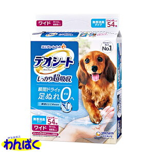 yN[|Lz j`[ fIV[g 蒴z L^Cv Ch 54 W{pbN ς t[hTvL A100-10