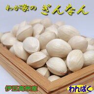 【月間優良ショップ8回受賞】 【クーポン有】 【早割り】 伊豆高原産 2026秋収穫 銀杏 「わが家のぎんな…