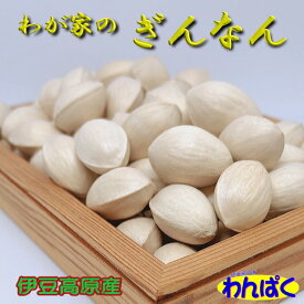 【クーポン有】伊豆高原産 2025秋収穫 銀杏 「わが家のぎんなん」 選べる 量り売り 人間用 殻付き 不揃い (+20g) / 中大粒 秋の味覚 旬 家飲み おつまみ 肴 おやつ 無農薬 1000円ポッキリより AM0