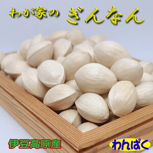 yN[|Lz ɓY 2025Hn  u킪Ƃ̂Ȃv 600g lԗp kt s (+20g) / 嗱 H̖o { ƈ ܂   _ AM0