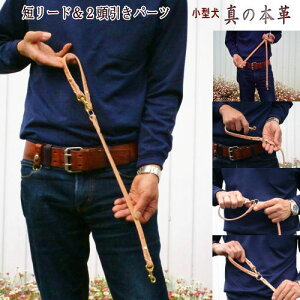 【クーポン有】 本革ショートリード 12mm 2頭引き兼用パーツ 小中型犬用(メール便) 他お試しフードサンプル有 AME