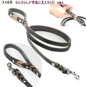 yN[|Lz k{v[h 12mm 茳 ߋF ^pi[ցj t[hTvL AM0