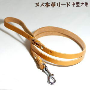 犬用首輪 リード ハーネス ナスカンの通販 価格比較 価格 Com