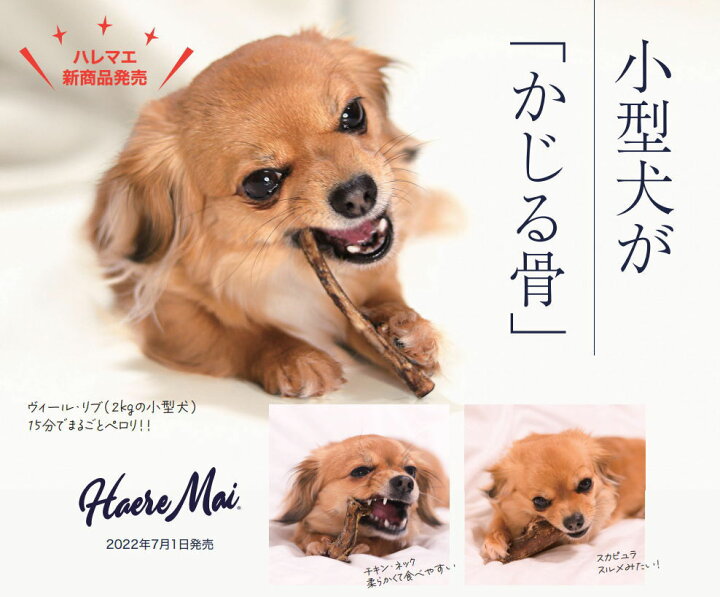 楽天市場 クーポン有 自然環境やさしい国から安心素材 ハレマエ チキン ネック 鶏のネック 50g メール便 ニュージーランド産 安全 無添加 アレルギー アレルギー 皮膚 痒み 穀物不使用 わんぱく送料無 他お試しフードサンプル有 Ame わんぱく 猫犬用品専門店