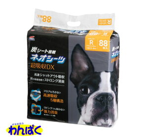 yN[|Lz lIV[c + J[{DX M[ 88 R[`[ ς t[hTvL A100-10