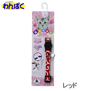 yN[|Lz  RbgJNTLbg IׂJ[ bh^O[  { Lp J[ t[hTvL AM0