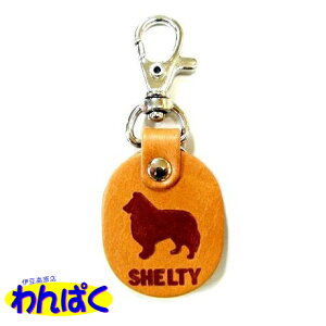 yN[|Lz  l[th VFeB SHELTY qD S L[z_[ l[v[g VRvi[ցj t[hTvL AM0