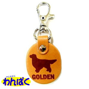 yN[|Lz  l[th S[f GOLDEN qD S L[z_[ l[v[g VRvi[ցj t[hTvL AM0