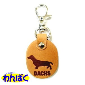 yN[|Lz  l[th _bNX DACHS qD S L[z_[ l[v[g VRvi[ցj t[hTvL AM0