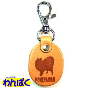 yN[|Lz  l[th |jA POMERANIAN qD S L[z_[ l[v[g VRvi[ցj t[hTvL AM0