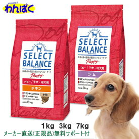 【クーポン有】 セレクトバランス パピー / 子犬・母犬用 チキン ラム 1kg 3kg 7kg 小粒 選べる 犬用フード 無添加 アレルギー 安全 皮膚 痒み やさしい ドックフード わんぱく ドライフード 他お試しフードサンプル有 AS0