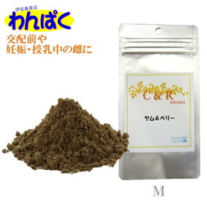 yN[|Lz C&R ̌zEDP̂߂ x[iMj 53g Tv Y Ⴡ[ւɂā ς t[hTvL AM0