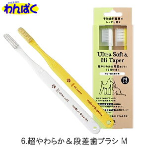 yN[|Lz 炩iuV Iׂ炩 TCY STCY MTCY Lp ^ ^p p oPA  ς t[hTvL AME