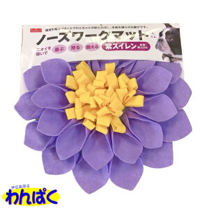 yN[|Lz p  m[Y[N}bg XC ybgCu[ inuneru Ckl Q[ g[jO hbOX|[c ybgp t[hTvL AS100