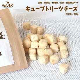 犬　おやつ　無添加　国産　キューブトリーツチーズ　40g　猫　わんもぐ　安心安全　こだわり　ヘルシー