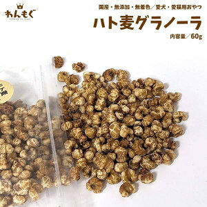 @@Y@ngOm[@60g@@@wV[