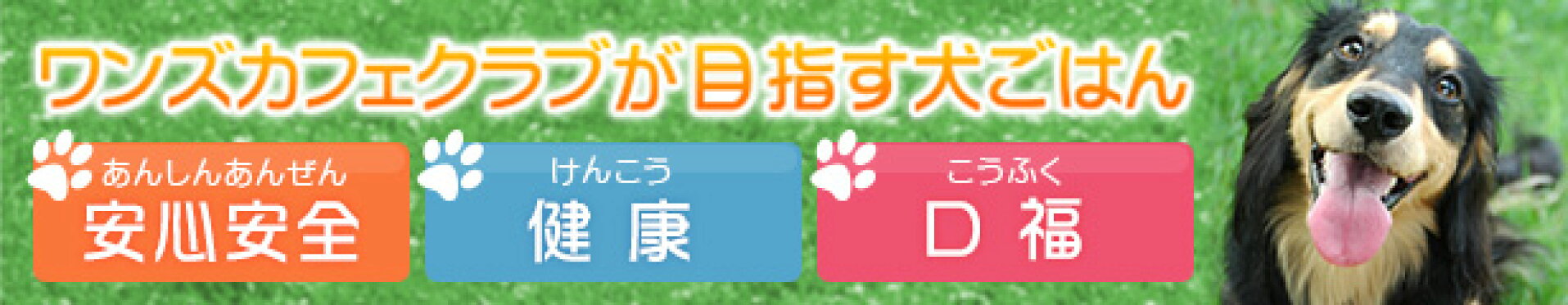 ワンズカフェクラブが目指す犬ごはん