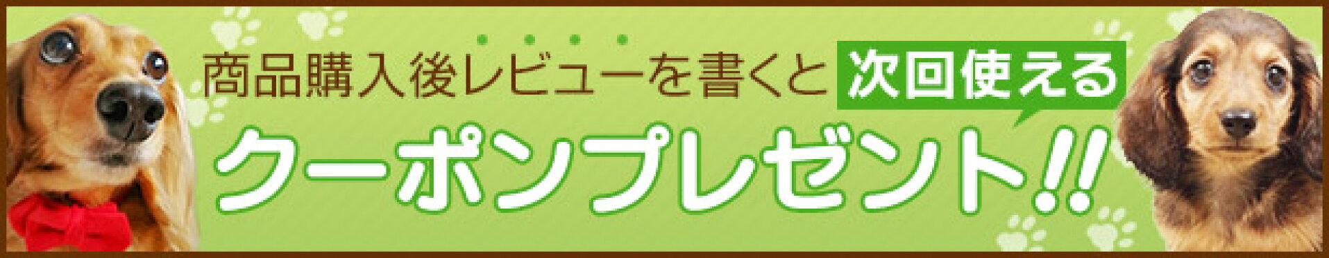 クーポンプレゼント