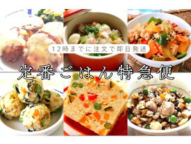 【当店営業日の12時までに注文で即日発送】 定番ごはん特急便＼お急ぎの方はこちら／【犬送料無料・犬フード・犬無添加・無添加ドックフード・犬無添加犬おやつ・犬手作りご飯】お急ぎの飼い主さん用