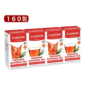 J~G C{XeB[ 160 CARMIEN L@ I[KjbN 40 ×.4 mJtFC RXgR