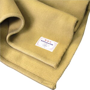 【最大10%OFFクーポン配布中!24日20時〜】難燃毛布