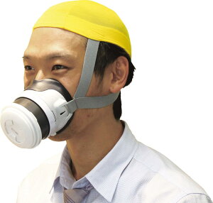 ΍Дpی(ȈՖh}XN)